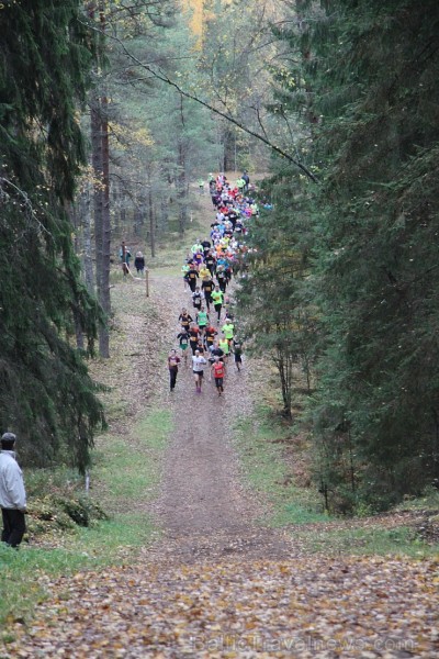 Zilo kalnu rudens kross pulcē 25.10.2015 lielu dalībnieku skaitu 163729