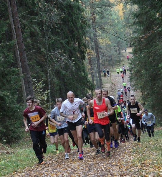 Zilo kalnu rudens kross pulcē 25.10.2015 lielu dalībnieku skaitu 163730