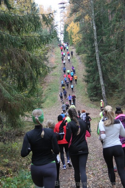 Zilo kalnu rudens kross pulcē 25.10.2015 lielu dalībnieku skaitu 163734