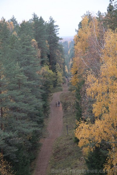 Zilo kalnu rudens kross pulcē 25.10.2015 lielu dalībnieku skaitu 163735