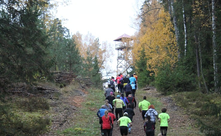 Zilo kalnu rudens kross pulcē 25.10.2015 lielu dalībnieku skaitu 163736