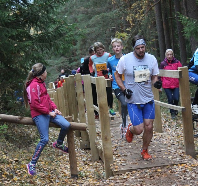 Zilo kalnu rudens kross pulcē 25.10.2015 lielu dalībnieku skaitu 163737