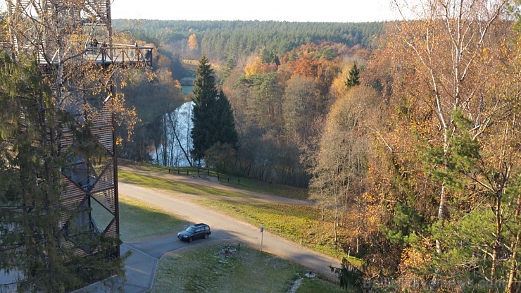 Travelnews.lv sadarbībā ar autonomu Sixt.lv iepazīst Lietuvas koku galotņu taku, kas atrodas 60 km no Paņevežas jeb 10 km no Anīkščai 164087