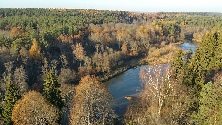 Travelnews.lv sadarbībā ar autonomu Sixt.lv iepazīst Lietuvas koku galotņu taku, kas atrodas 60 km no Paņevežas jeb 10 km no Anīkščai 164093
