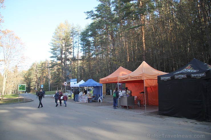 Travelnews.lv sadarbībā ar autonomu Sixt.lv iepazīst Lietuvas koku galotņu taku, kas atrodas 60 km no Paņevežas jeb 10 km no Anīkščai 164101