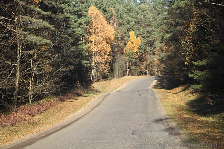 Travelnews.lv sadarbībā ar autonomu Sixt.lv iepazīst Lietuvas koku galotņu taku, kas atrodas 60 km no Paņevežas jeb 10 km no Anīkščai 164103