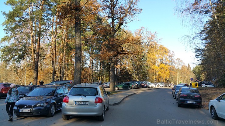 Travelnews.lv sadarbībā ar autonomu Sixt.lv iepazīst Lietuvas koku galotņu taku, kas atrodas 60 km no Paņevežas jeb 10 km no Anīkščai 164104