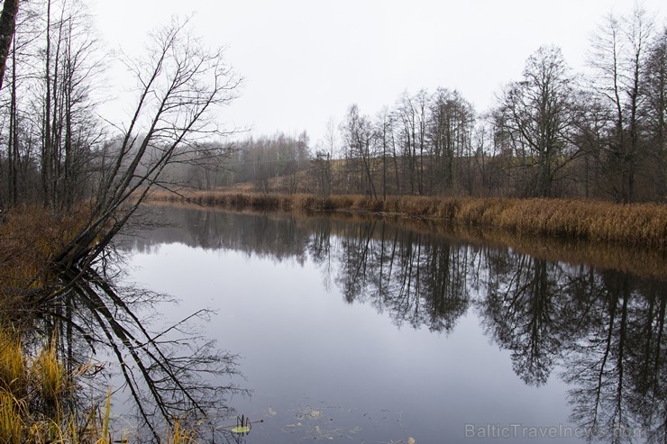 Cieres dabas taka iepazīstina ar Gaujas krastu mitrājiem 164771