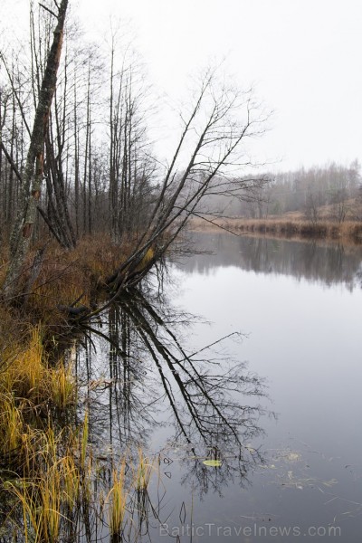 Cieres dabas taka iepazīstina ar Gaujas krastu mitrājiem 164772