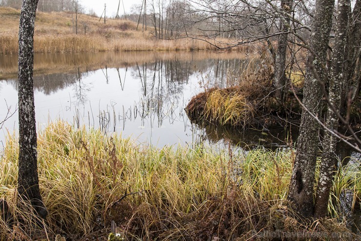 Cieres dabas taka iepazīstina ar Gaujas krastu mitrājiem 164778