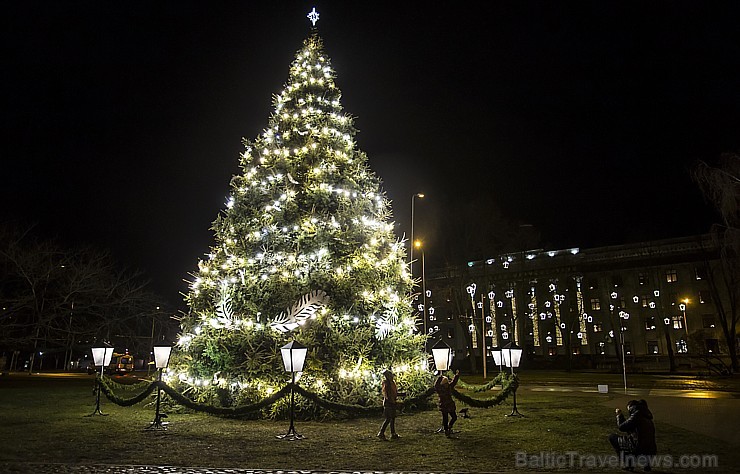 Liepājas Ziemassvētku eglīte - www.liepaja.travel.lv 166685