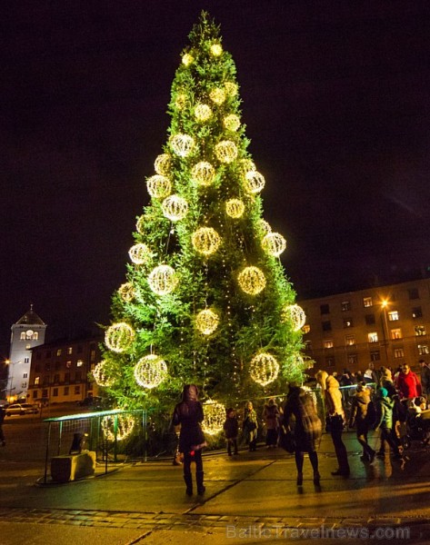 Jelgavas Ziemassvētku eglīte - www.tornis.jelgava.lv 166698