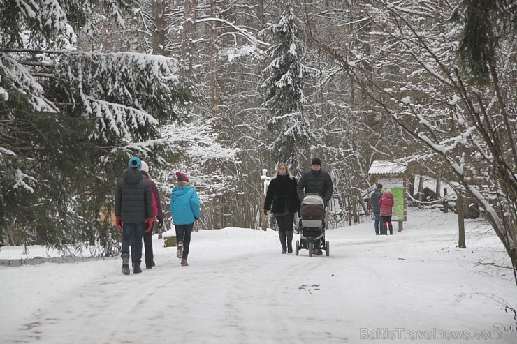 Travelnews.lv apciemo Tērvetes dabas parku ziemas apstākļos 167219