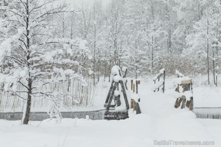 Travelnews.lv izbauda ziemas priekus Limbažu Lielezera dabas takā 167511