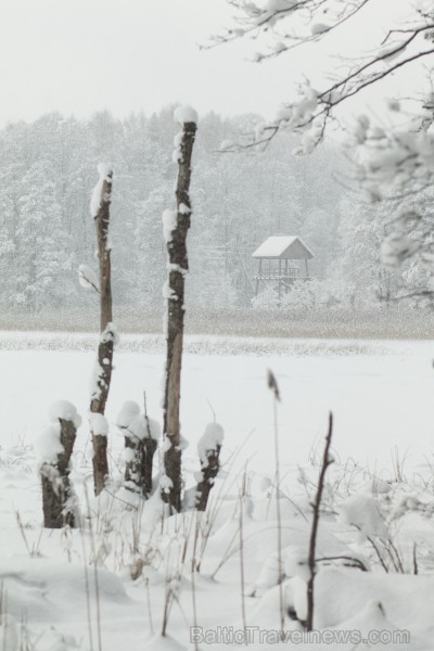 Travelnews.lv izbauda ziemas priekus Limbažu Lielezera dabas takā 167512