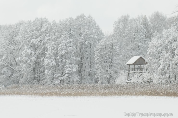 Travelnews.lv izbauda ziemas priekus Limbažu Lielezera dabas takā 167514