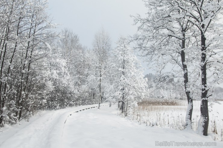 Travelnews.lv izbauda ziemas priekus Limbažu Lielezera dabas takā 167518