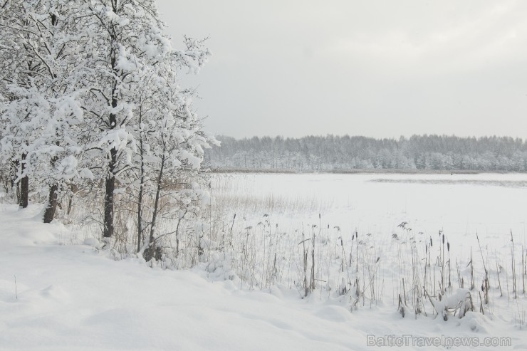 Travelnews.lv izbauda ziemas priekus Limbažu Lielezera dabas takā 167521