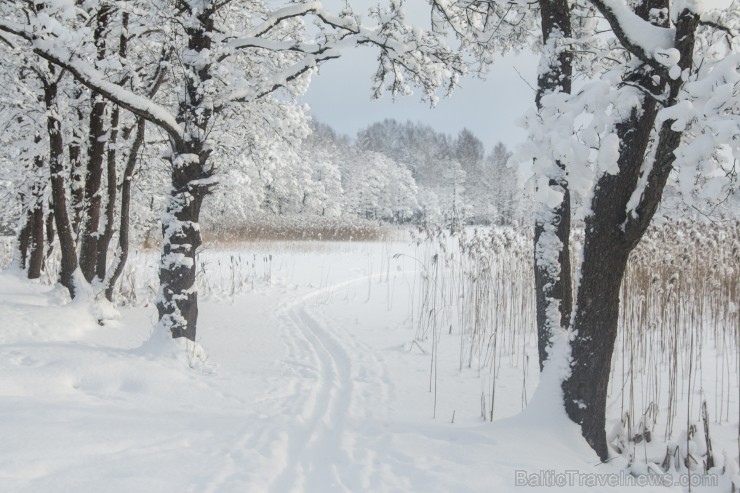 Travelnews.lv izbauda ziemas priekus Limbažu Lielezera dabas takā 167522