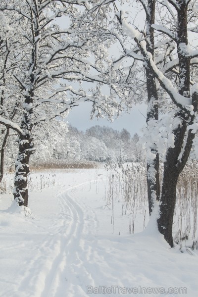 Travelnews.lv izbauda ziemas priekus Limbažu Lielezera dabas takā 167523