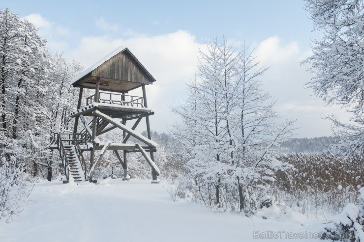 Travelnews.lv izbauda ziemas priekus Limbažu Lielezera dabas takā 167533