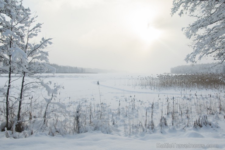 Travelnews.lv izbauda ziemas priekus Limbažu Lielezera dabas takā 167535