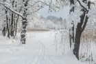 Travelnews.lv izbauda ziemas priekus Limbažu Lielezera dabas takā 23