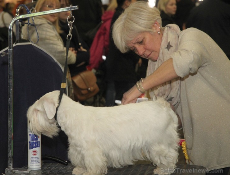 Ķīpsalā kupls apmeklētāju skaits divas dienas pulcējas lielākā mājdzīvnieku izstādē Baltijā  «PetExpo 2016» 170846