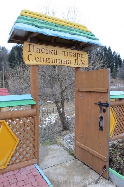 Ukrainā skaistumu un veselību palīdz uzturēt bites un vērtīgais medus 171584