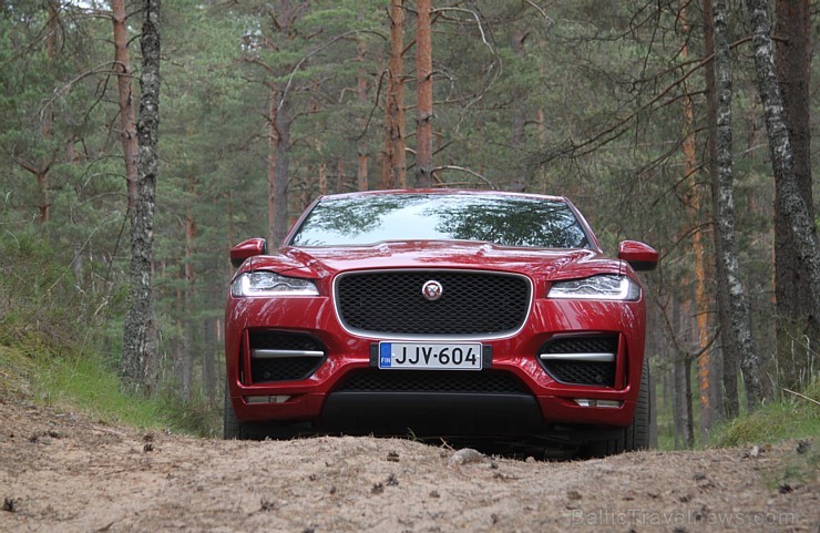 Travelnews.lv ceļo 7.06.2016 ar jauno «Jaguar» zīmola pirmo apvidus automobili  «F-Pace» 176307