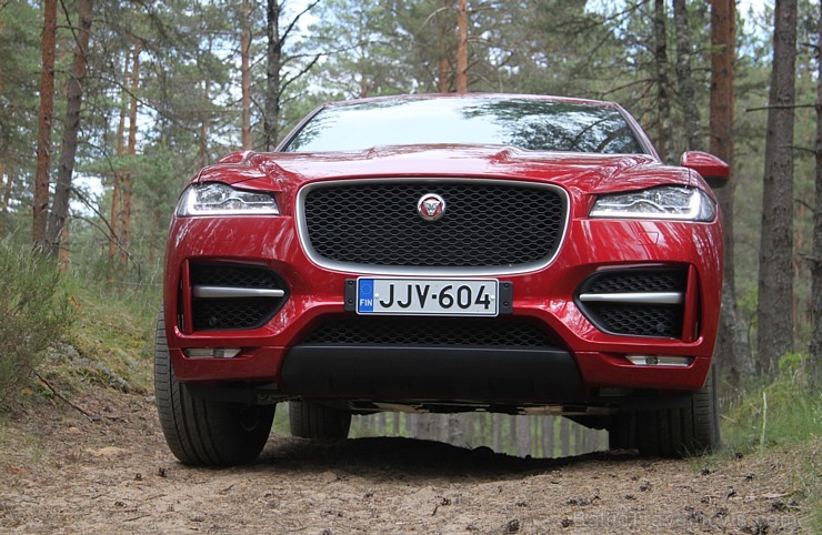 Travelnews.lv ceļo 7.06.2016 ar jauno «Jaguar» zīmola pirmo apvidus automobili  «F-Pace» 176315