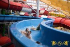 Jaunieši apmeklēs moderno ūdensatrakciju parku Aquapalace Prague un varēs izbaudīt dažādas atrakcijas, relaksēties saunā, aplūkot krāsaino koraļlu akv 11