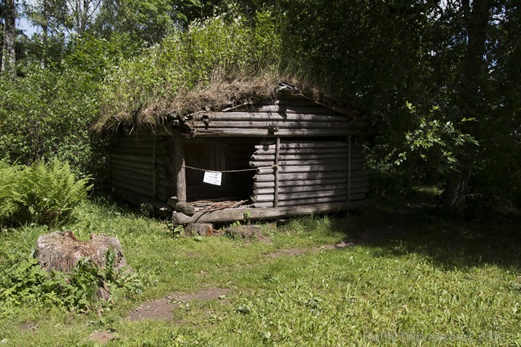 Āraišu arheoloģiskajā muzejparkā godā Zāļu dienu 177513