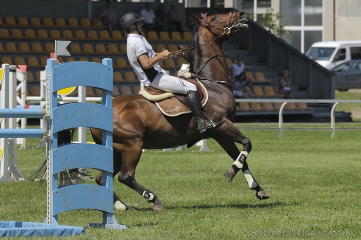 Sacensības jāšanas sportā šķēršļu pārvarēšanā pulcē kuplu dalībnieku skaitu 177753