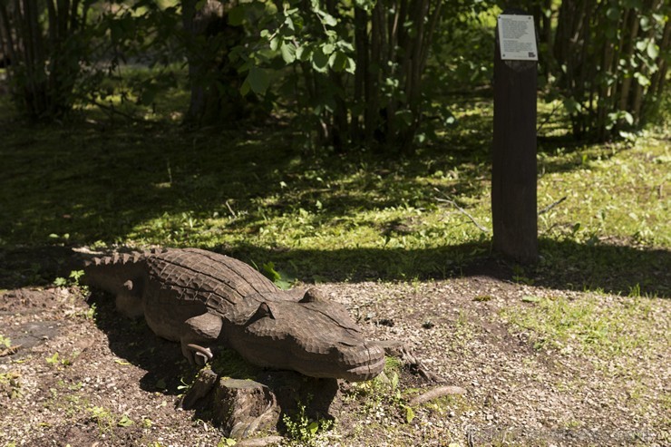 Vika pasaku parkā Dikļos apskatāmas rakstnieka pasaku varoņu koka figūras 180880