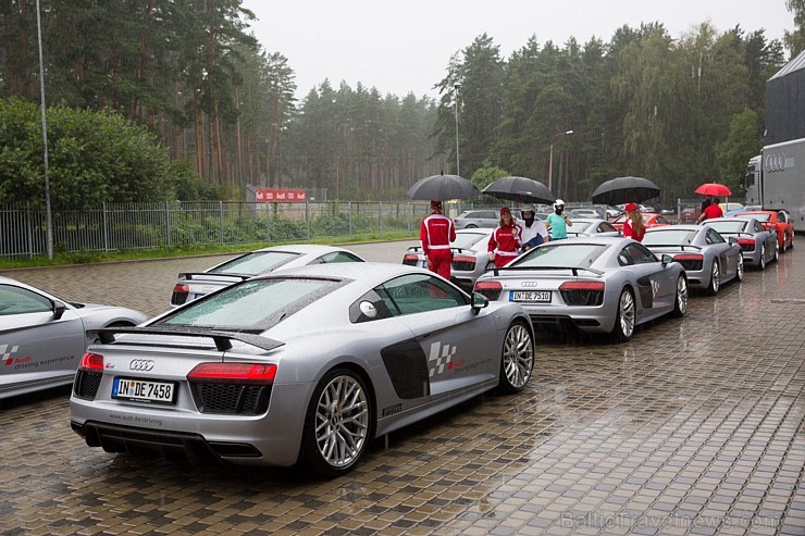 Travelnews.lv redakcija Biķernieku trasē 15.08.2016 izmēģina jaudīgos Audi R8 un RS sērijas automobiļus. Foto: Audi Sport 181871