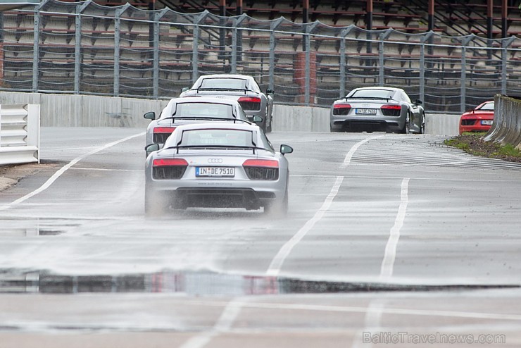 Travelnews.lv redakcija Biķernieku trasē 15.08.2016 izmēģina jaudīgos Audi R8 un RS sērijas automobiļus. Foto: Audi Sport 181874