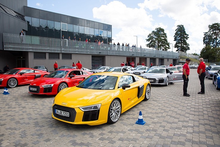 Travelnews.lv redakcija Biķernieku trasē 15.08.2016 izmēģina jaudīgos Audi R8 un RS sērijas automobiļus. Foto: Audi Sport 181892