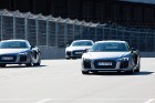 Travelnews.lv redakcija Biķernieku trasē 15.08.2016 izmēģina jaudīgos Audi R8 un RS sērijas automobiļus. Foto: Audi Sport 4