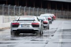 Travelnews.lv redakcija Biķernieku trasē 15.08.2016 izmēģina jaudīgos Audi R8 un RS sērijas automobiļus. Foto: Audi Sport 30