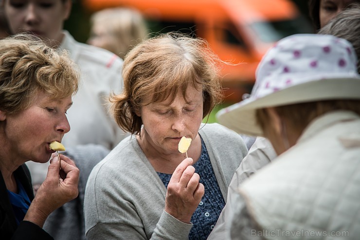 Ar Latgales keramiķu, klūgu un skalu grozu pinēju, kalēju, kokamatnieku, tautas dejotāju un amatierteātra piedalīšanos Jasmuižā tika svinēti Latgales  181977