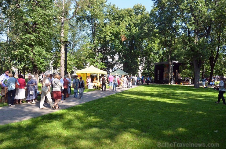 Ar medus, biškopības produktu un ķiploku tirdziņu, degustācijām, prezentācijām un konkursiem norisinājies pirmie Medus un ķiploku svētki Daugavpilī 182571