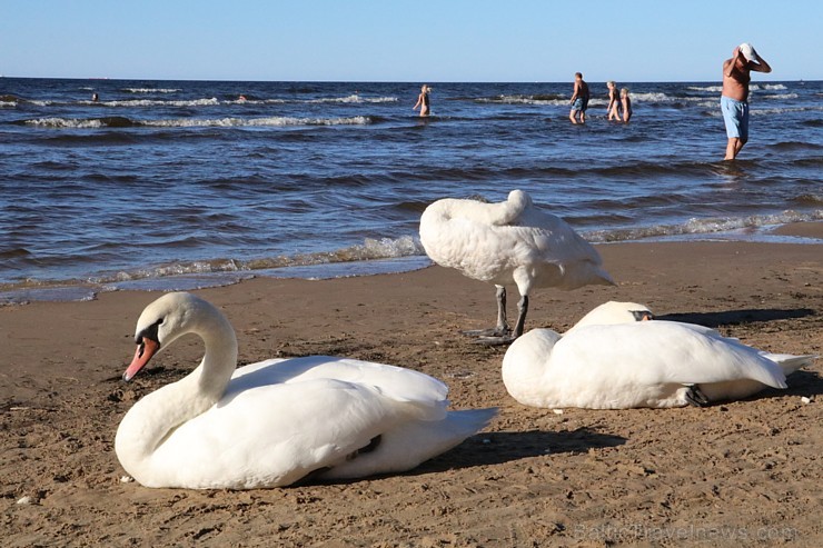 Nedēļas nogalē Jūrmalas pludmale ir pilna ar atpūtniekiem un tūristiem 182780
