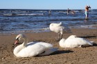 Nedēļas nogalē Jūrmalas pludmale ir pilna ar atpūtniekiem un tūristiem 4