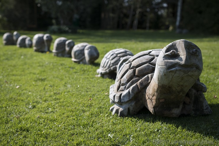 Beverīnas koka skulptūru parks aizrauj gan pieaugušos, gan bērnus 183180