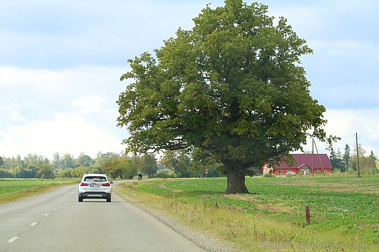 Travelnews.lv redakcija piedalās «Gada Auto» žūrijas braucienā uz Skrundas muižu 184504