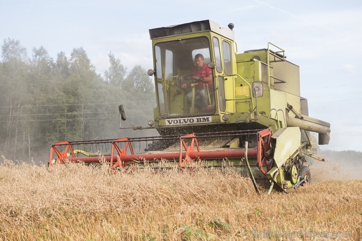 Travelnews.lv vēro ar kādiem kombainiem šogad notiek ražas novākšana Latvijas laukos 185412