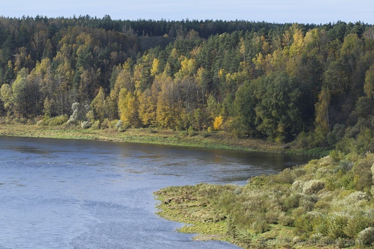 Priedaines skatu tornis Krāslavā ir brīnišķīga vieta zelta rudens baudīšanai 185669