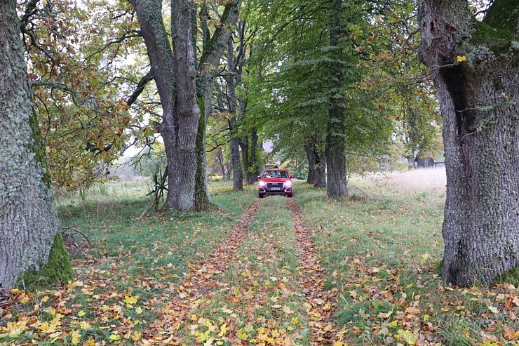 Travelnews.lv redakcija izbauda Latvijas ceļus ar jauno «Audi Q2» 186501