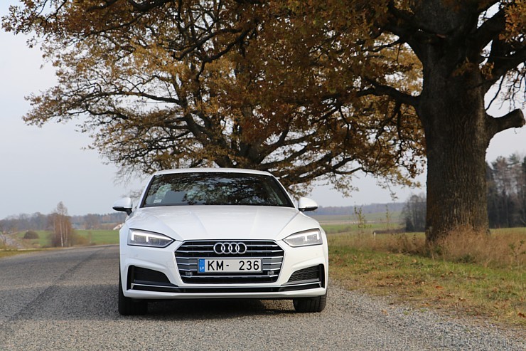 Travelnews.lv redakcija apceļo rudenīgo Vidzemi un Dikļu pils ar jauno Audi A5 Coupe 186647